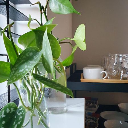 Bed And Breakfast 'Wij En De Zande' Kamperveen Kültér fotó