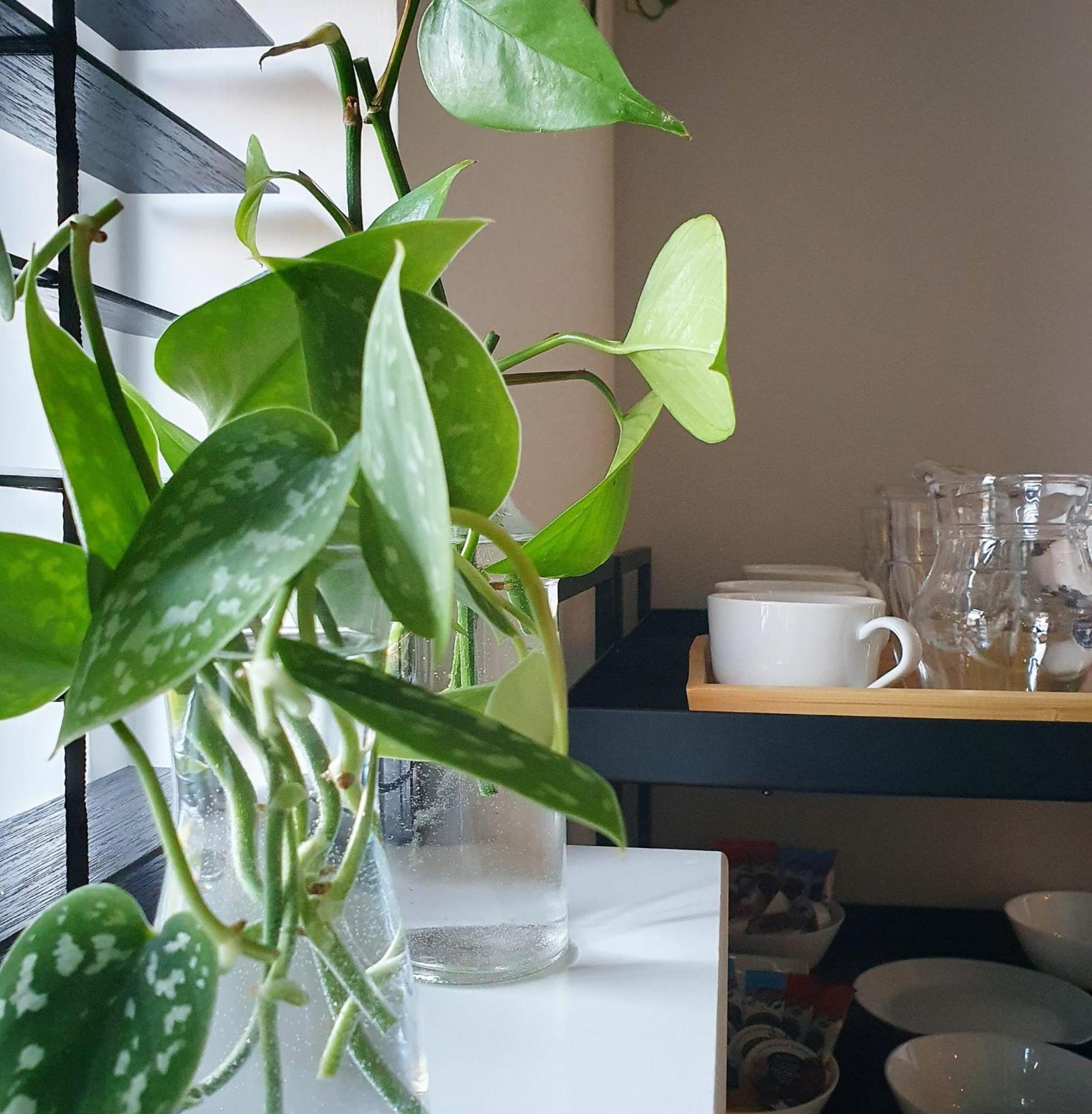 Bed And Breakfast 'Wij En De Zande' Kamperveen Kültér fotó